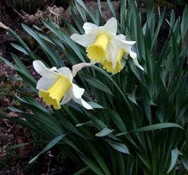 Spring has officially begun